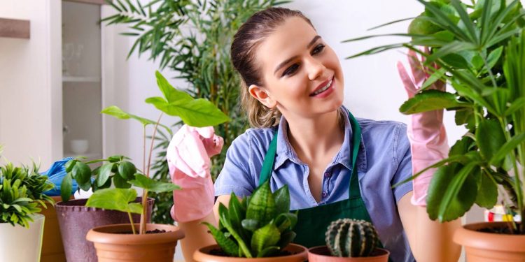 Como o ato de cuidar de plantas se tornou uma ferramenta para a saúde mental