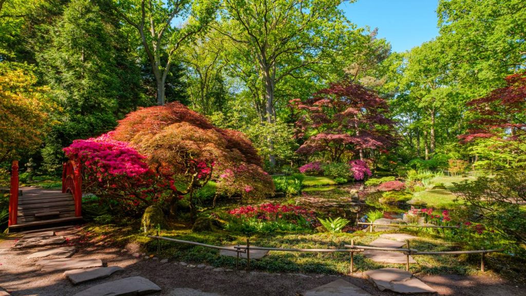 O que é um Jardim Japonês? Entenda os princípios de simplicidade e equilíbrio