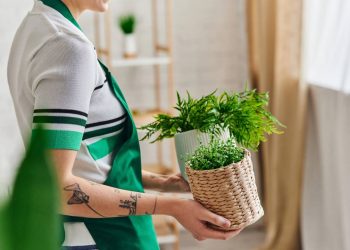 Jardim de apartamento para iniciantes! O passo a passo para cultivar na varanda