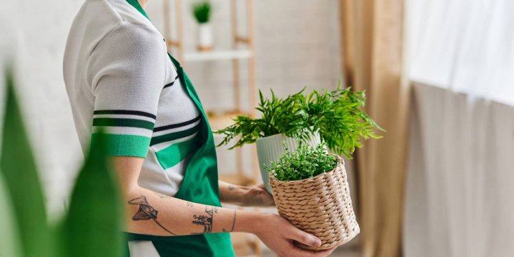 Jardim de apartamento para iniciantes! O passo a passo para cultivar na varanda