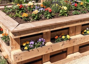 Quer começar a jardinar? Tudo o que você precisa saber para não errar