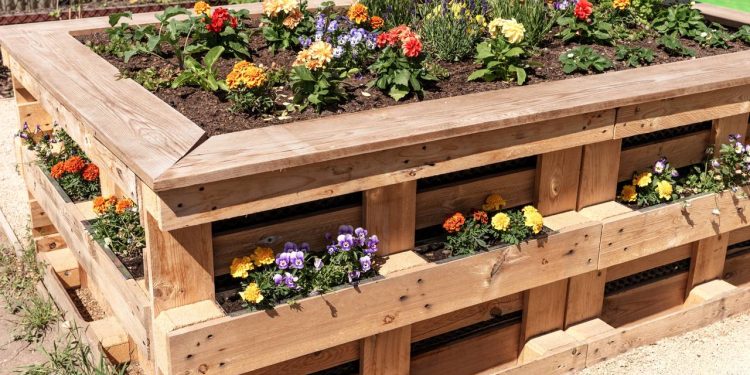 Quer começar a jardinar? Tudo o que você precisa saber para não errar