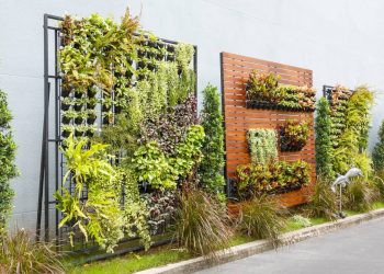 Jardins Verticais: Passo a passo para criar o seu em casa!