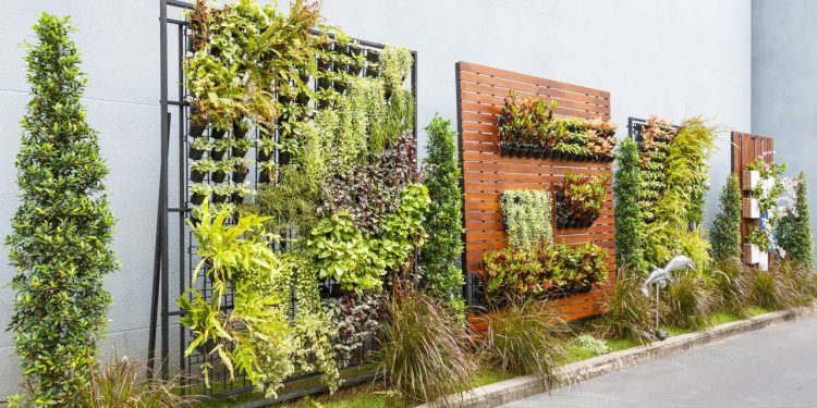 Jardins Verticais: Passo a passo para criar o seu em casa!