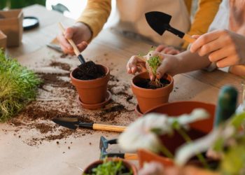 Suas plantas estão morrendo? Você pode estar cometendo um destes 5 erros clássicos