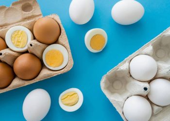Saiba qual a maneira correta de guardar os ovos!