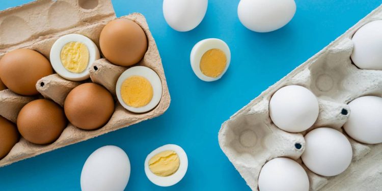 Saiba qual a maneira correta de guardar os ovos!
