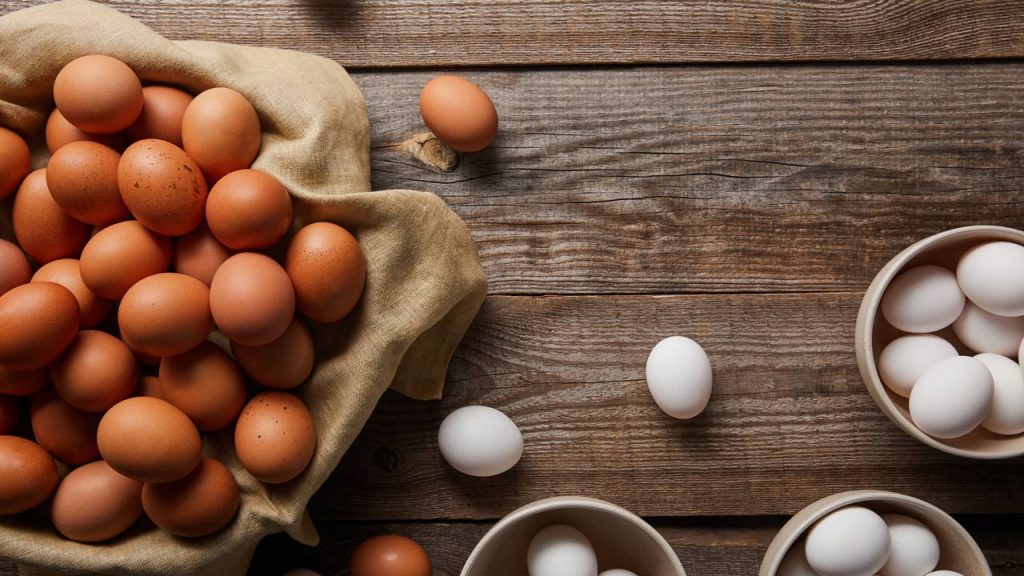 Saiba qual a maneira correta de guardar os ovos!