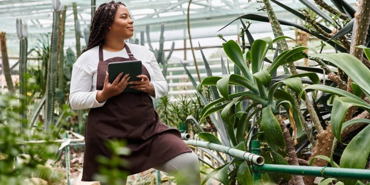 Sol pleno, meia-sombra ou sombra? O guia para nunca mais errar na luz da planta!