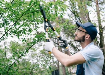 Calendário da poda: saiba quando cortar cada tipo de planta para ela crescer mais forte