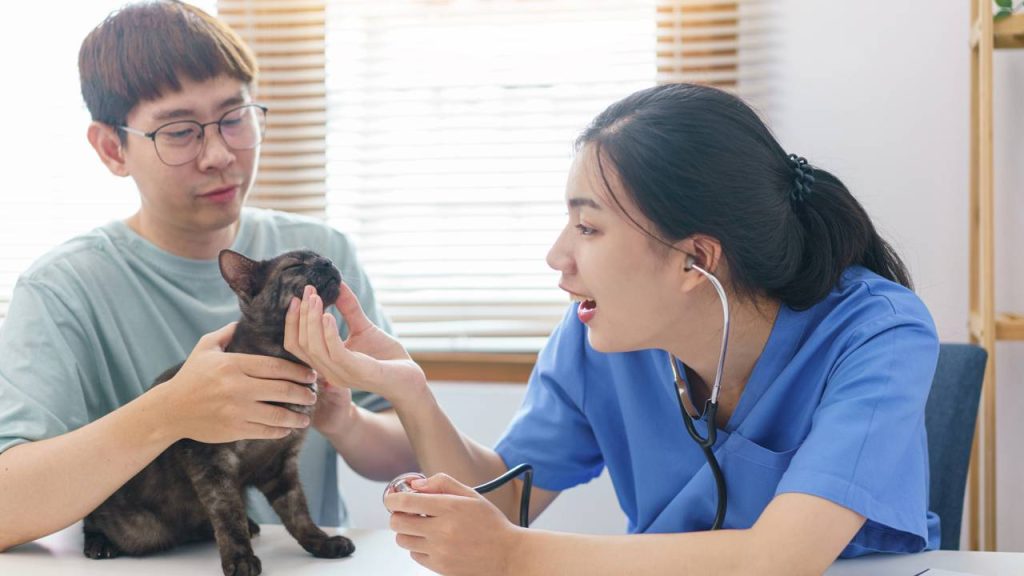 O que significa a mudança no tom de voz que usamos ao falar com animais de estimação, segundo a Psicologia