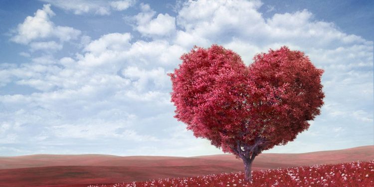 3 signos com mais chances de viver um amor verdadeiro, segundo a astrologia