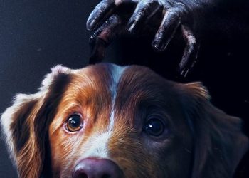 O filme mais diferente do ano tem um cachorro como protagonista