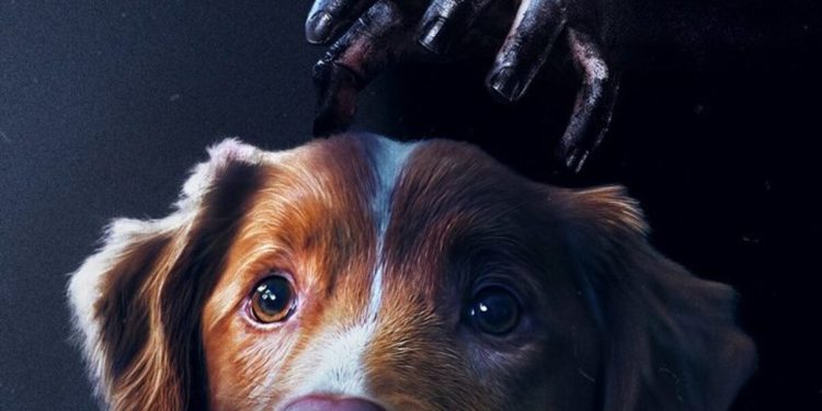 O filme mais diferente do ano tem um cachorro como protagonista