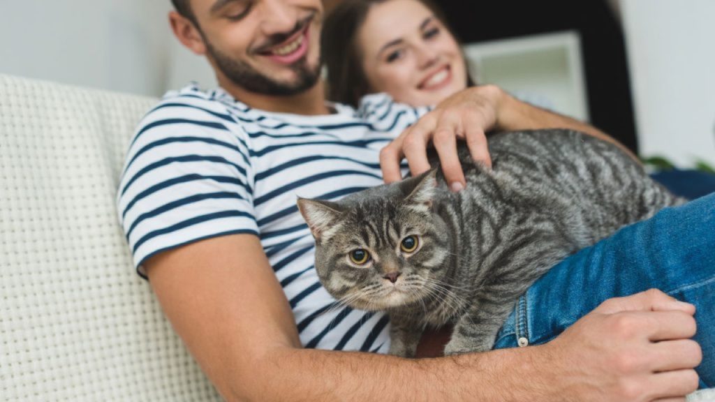 Pequenas escolhas ao longo do dia contam muito mais do que um gesto grandioso – Créditos: depositphotos.com / AllaSerebrina