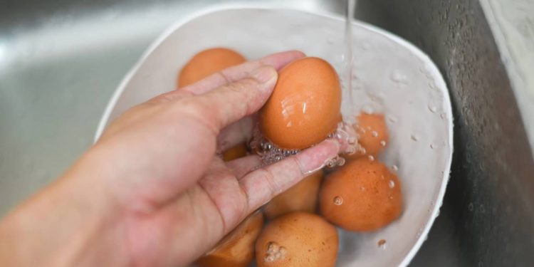 O teste mais confiável para saber se o ovo está bom ou estragado