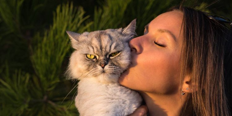 Embora o “presente” possa ser indesejado, o animal está tentando se comunicar de forma positiva - Créditos: depositphotos.com / dariakulkova.gmail.com