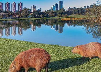 A cidade que virou modelo nacional de qualidade de vida e bem-estar urbano