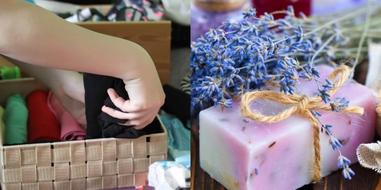 O que acontece se você deixar um sabonete dentro do armário de roupas!