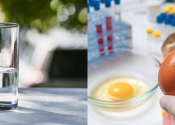O truque para saber se um ovo está bom ou estragado apenas com água