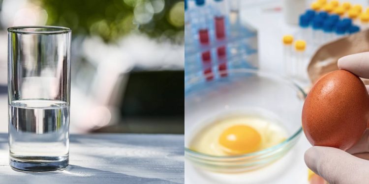 O truque para saber se um ovo está bom ou estragado apenas com água