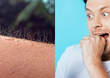 O real motivo pelo qual ficamos com a pele "arrepiada" ao sentir medo