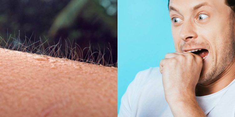 O real motivo pelo qual ficamos com a pele "arrepiada" ao sentir medo