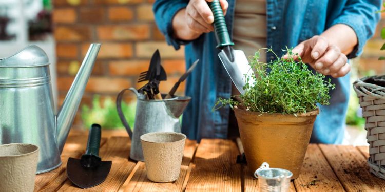 Não sabe por onde começar? Estas são as 5 ferramentas básicas para seu jardim