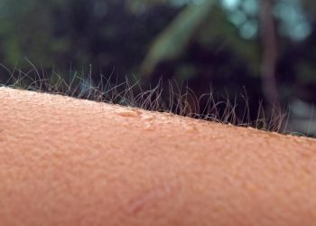 O que significa o calafrio ao imaginar algo assustador, segundo a psicologia