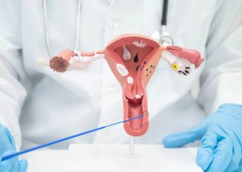 Guia dos exames essenciais para a saúde da mulher dos 20 aos 60+ anos