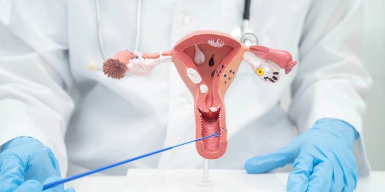 Guia dos exames essenciais para a saúde da mulher dos 20 aos 60+ anos