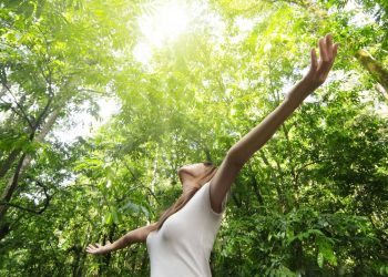 Por que o contato com a natureza nos acalma e reduz a ansiedade, segundo a Psicologia