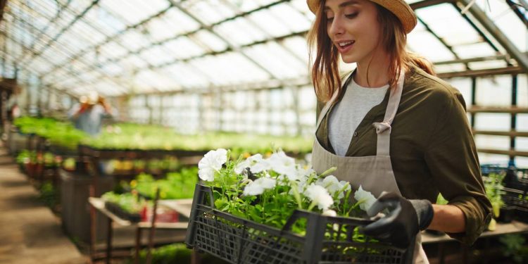 O guia para ter um jardim espetacular na primavera com as plantas certas