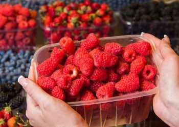 Saiba como manter as framboesas frescas e livres de mofo na geladeira