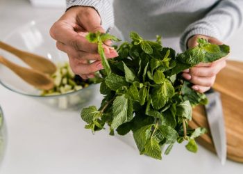 Como armazenar ervas frescas para manter o sabor e frescor por mais tempo