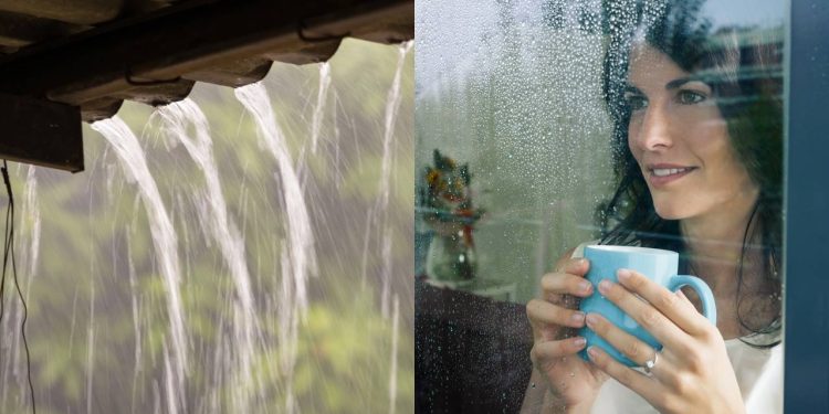 O que significa o prazer em ouvir o som da chuva ou de ondas do mar (Ruído Branco), segundo a Psicologia