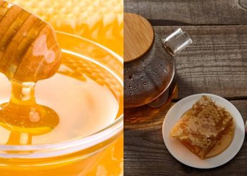 O teste simples que revela na hora se o seu mel é puro ou falsificado
