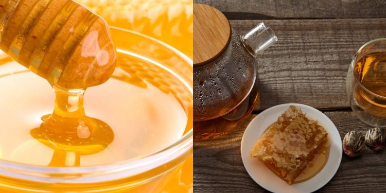 O teste simples que revela na hora se o seu mel é puro ou falsificado