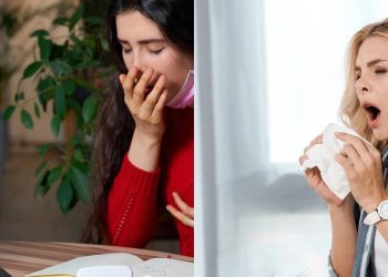 O que significa o hábito de falar "saúde" quando alguém espirra, segundo a Psicologia