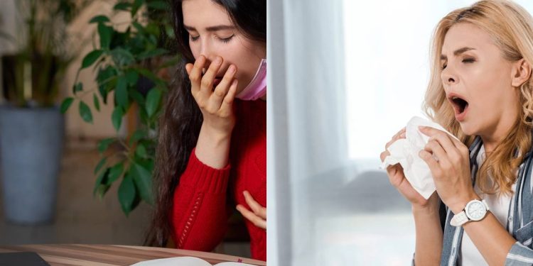 O que significa o hábito de falar "saúde" quando alguém espirra, segundo a Psicologia