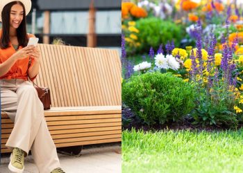 Viaje sem preocupação com estas dicas para cuidar das suas plantas à distância