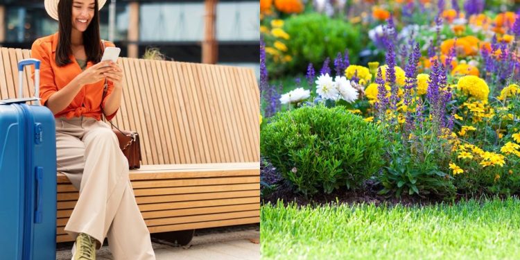 Viaje sem preocupação com estas dicas para cuidar das suas plantas à distância