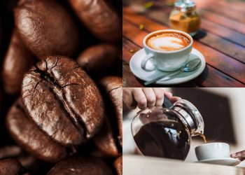 Como ter um pé de café em casa e produzir seus próprios grãos