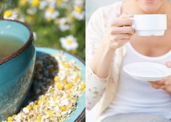 Como ter em casa as plantas certas para um chá fresco a qualquer hora