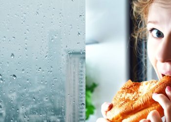 Por que a gente sente mais fome quando está chovendo ou nublado, segundo a Psicologia
