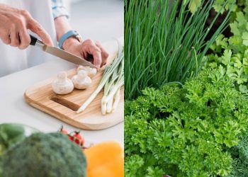 Como ter uma horta de temperos frescos mesmo em uma cozinha pequena
