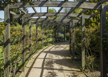 Como usar pérgolas e treliças para criar um refúgio verde no seu jardim