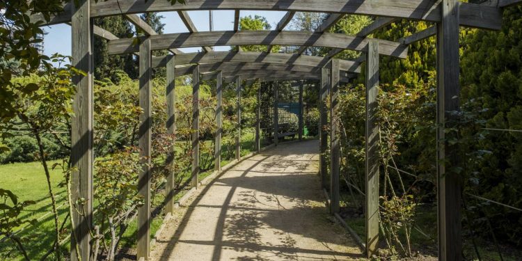 Como usar pérgolas e treliças para criar um refúgio verde no seu jardim