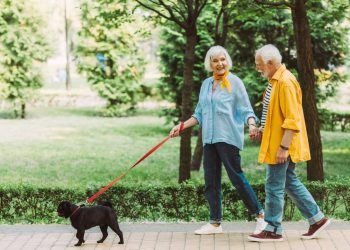 Caminhar entre 3.000 e 7.000 passos por dia protege o cérebro