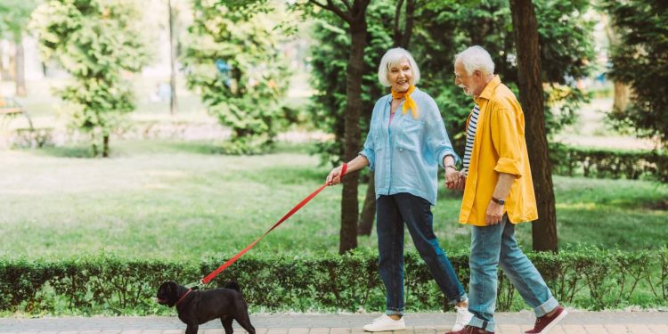 Caminhar entre 3.000 e 7.000 passos por dia protege o cérebro